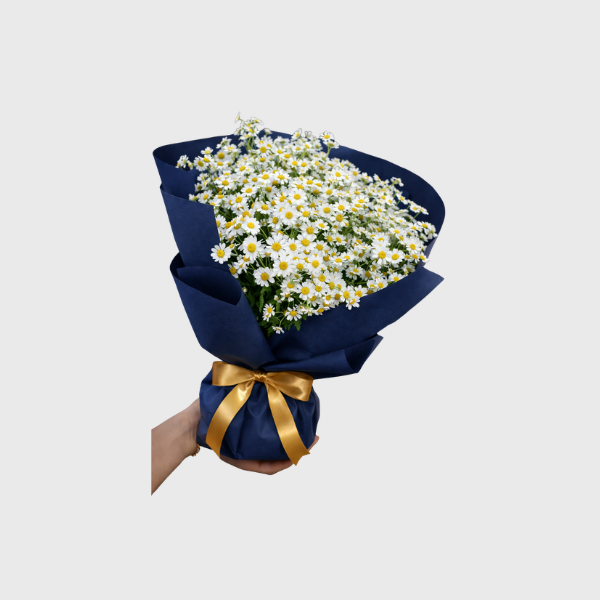 Margaridinhas Petit Margot